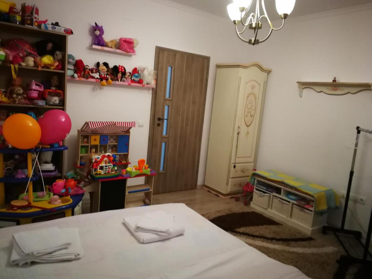 Sîntandrei Sia & Sophie 'S Houseヴィラ エクステリア 写真