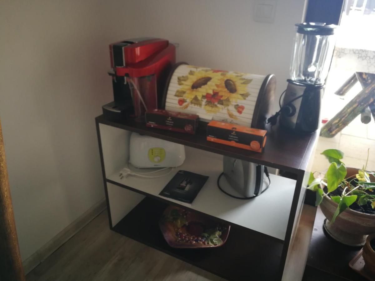 Sîntandrei Sia & Sophie 'S Houseヴィラ エクステリア 写真