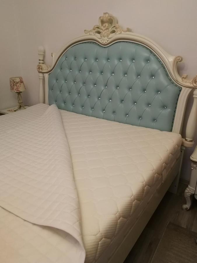 Sîntandrei Sia & Sophie 'S Houseヴィラ エクステリア 写真