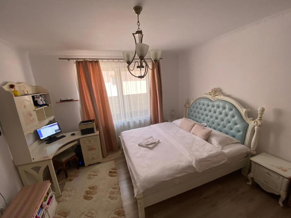 Sîntandrei Sia & Sophie 'S Houseヴィラ エクステリア 写真