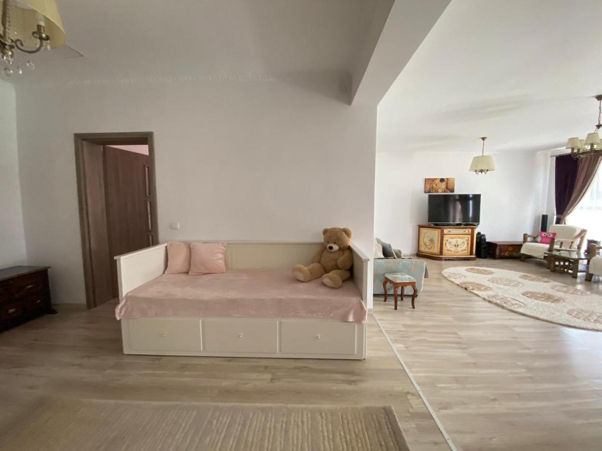 Sîntandrei Sia & Sophie 'S Houseヴィラ エクステリア 写真