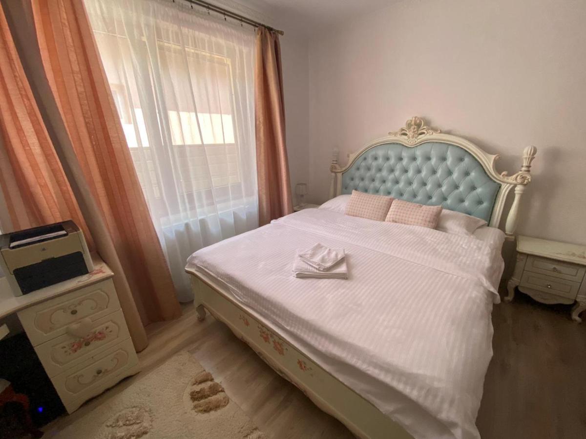 Sîntandrei Sia & Sophie 'S Houseヴィラ エクステリア 写真