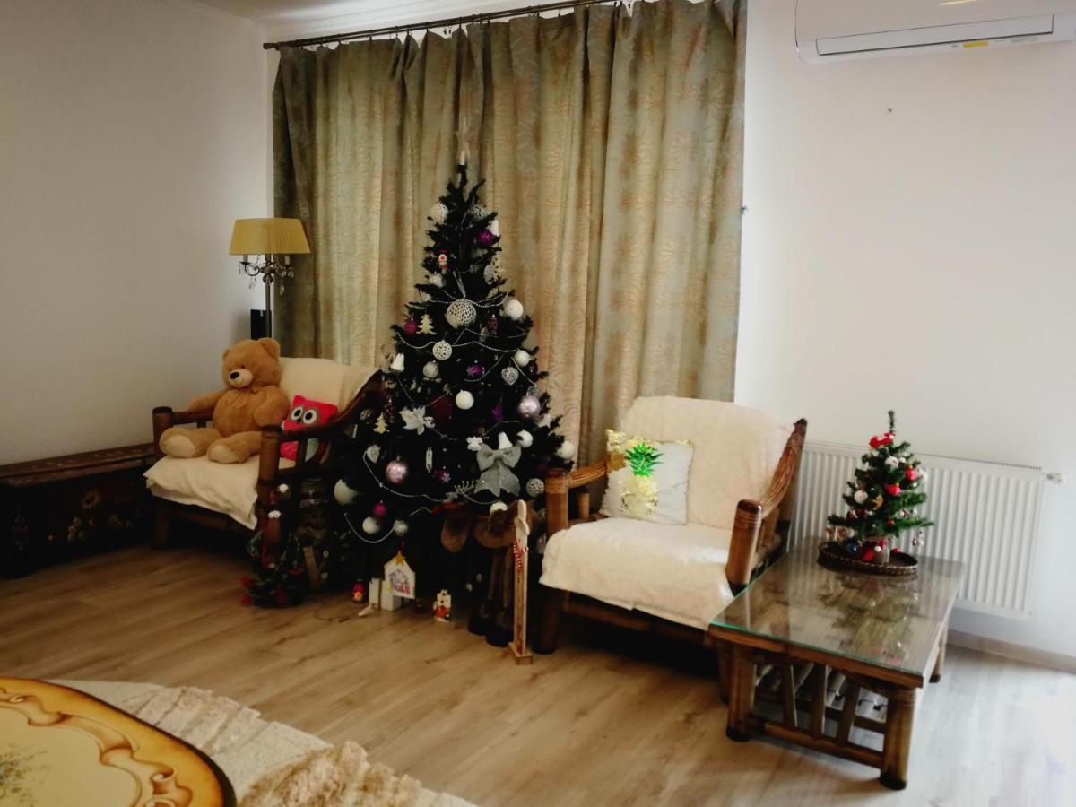 Sîntandrei Sia & Sophie 'S Houseヴィラ エクステリア 写真